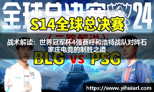 DG视讯